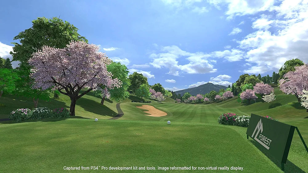 Everybody's Golf (PSVR/PS4)